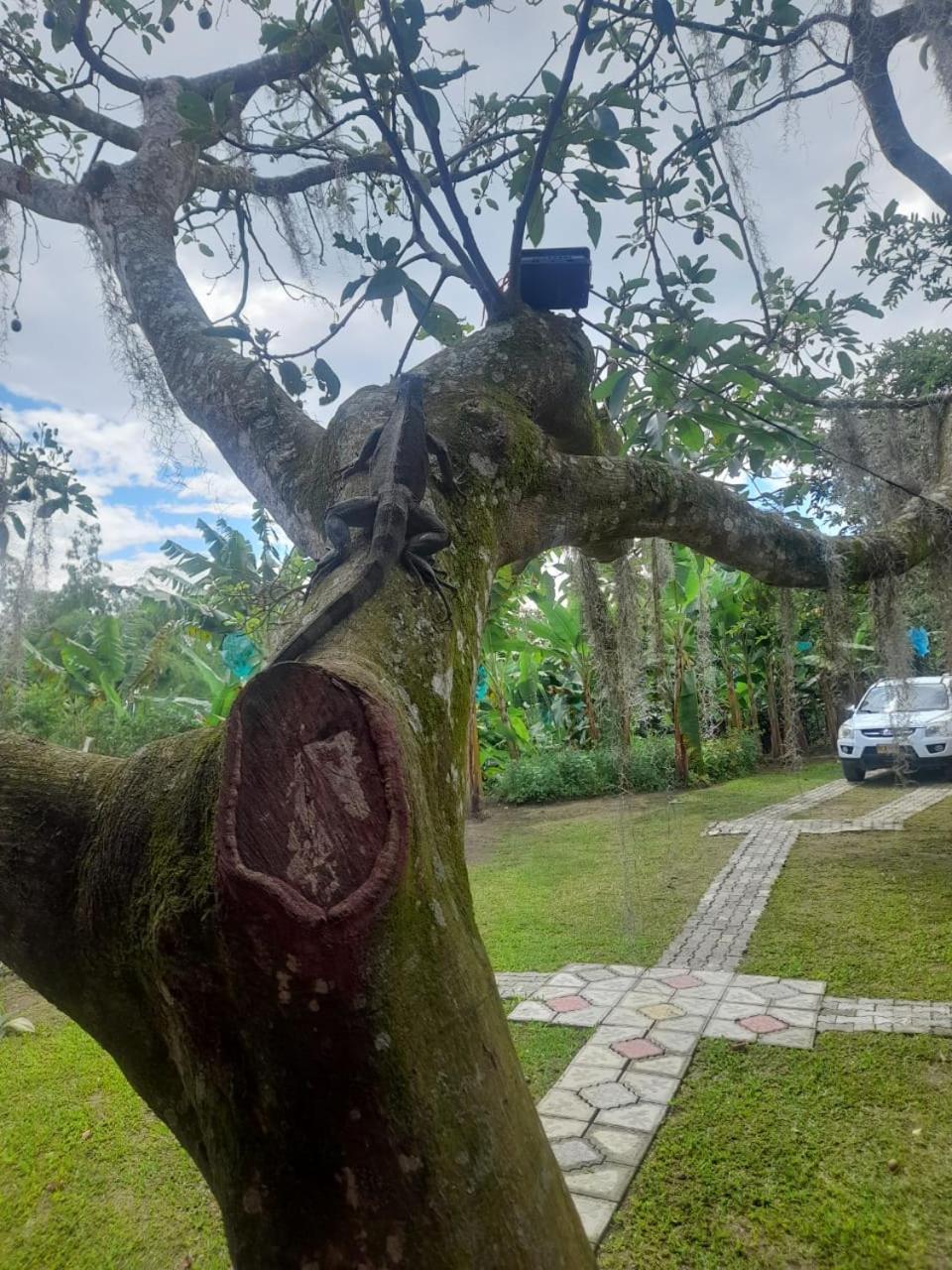 Cabanas La Miranda ฟิลานเดีย ภายนอก รูปภาพ