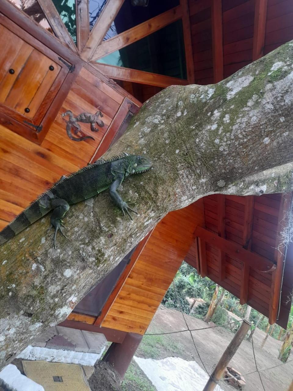 Cabanas La Miranda ฟิลานเดีย ภายนอก รูปภาพ