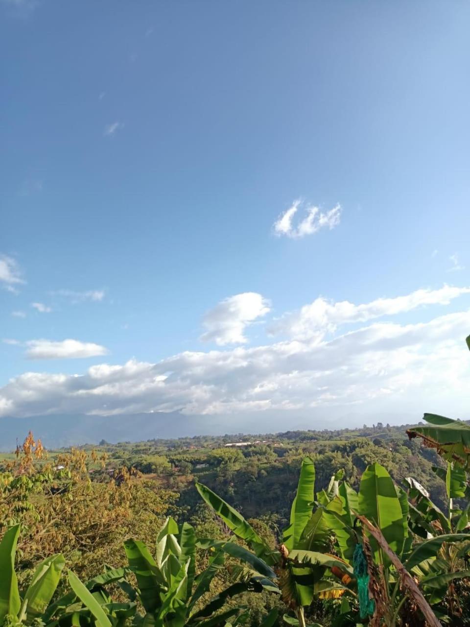 Cabanas La Miranda ฟิลานเดีย ภายนอก รูปภาพ